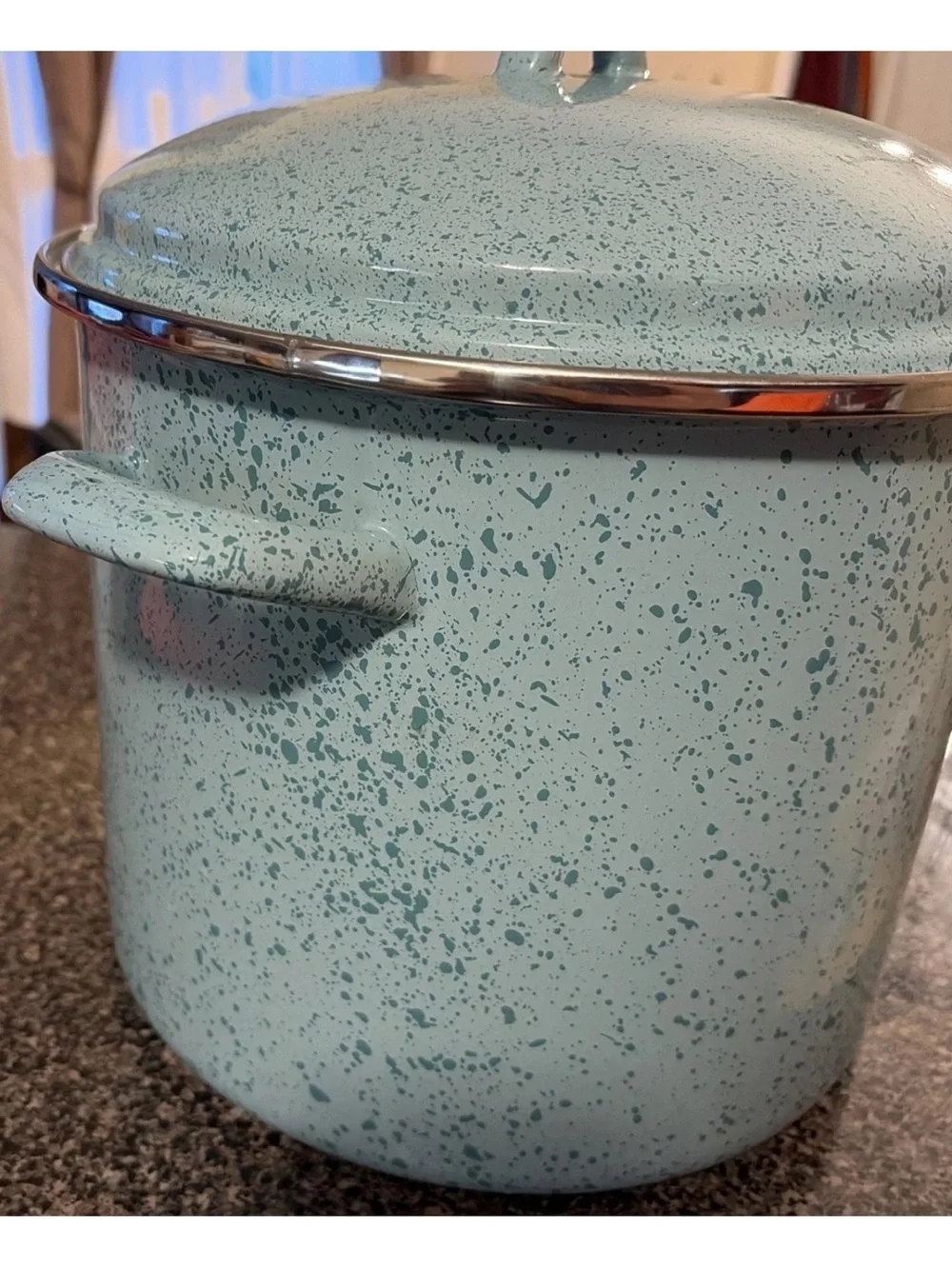 Mint Speckled 12 qt. Enamel Stockpot with Lid - Home Kitchen Cookware